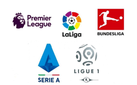 杂因素的影 杂因素的影